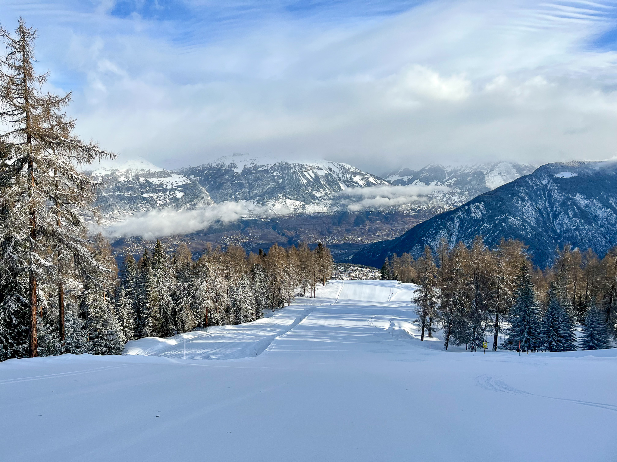 earlybird-22-02-6-7863155