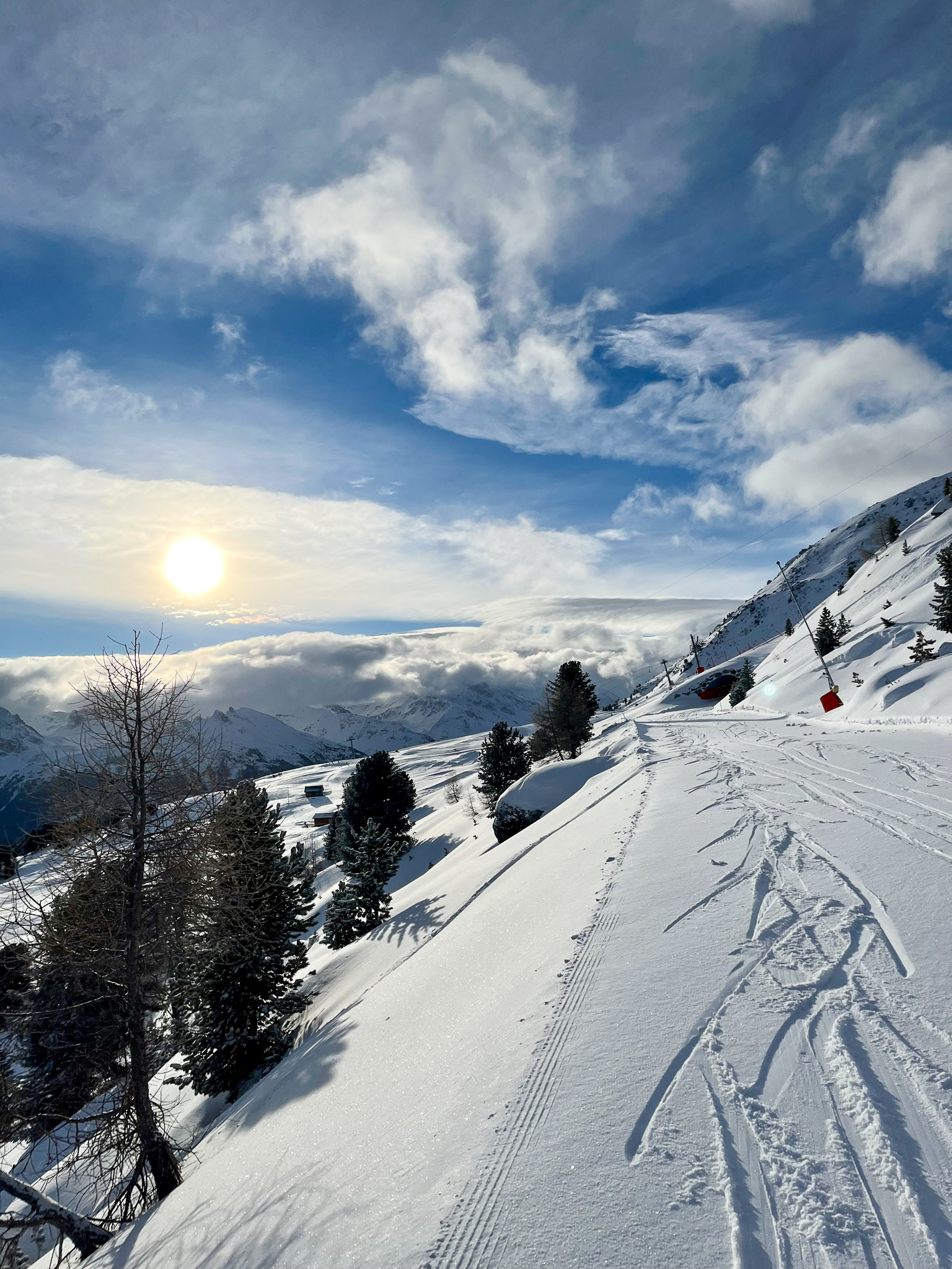 earlybird-22-02-7-7863154