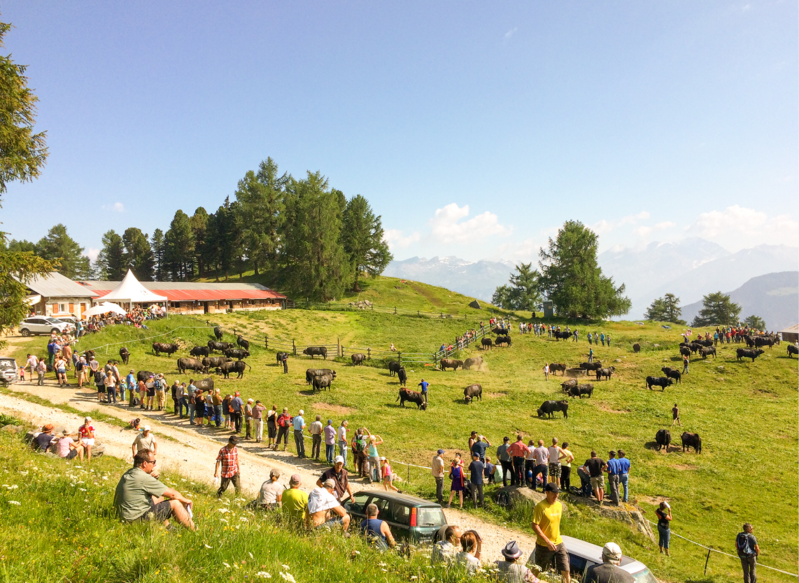 inalpe-7461722