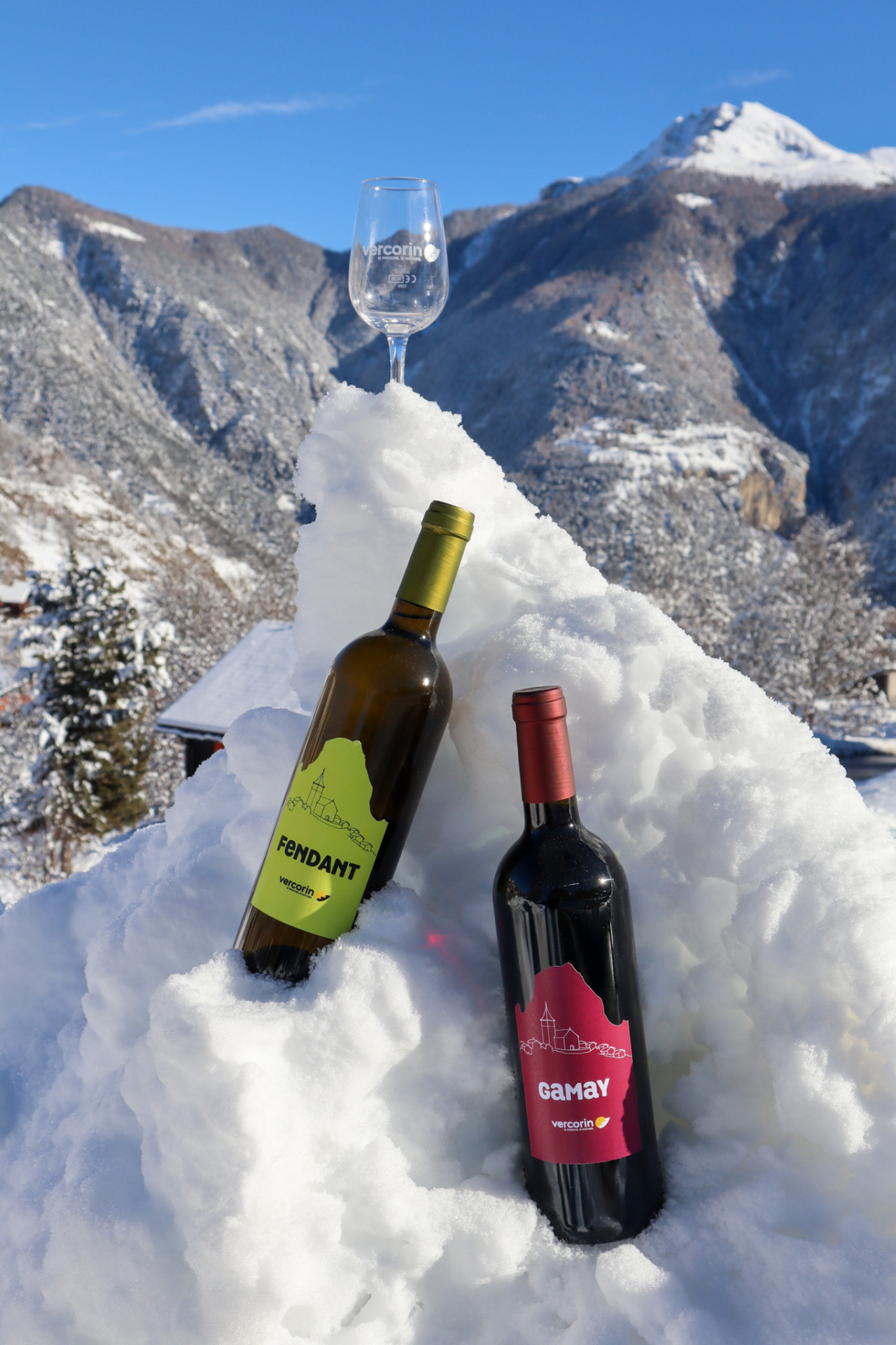 img-4431-10030282 img-4431-10030282