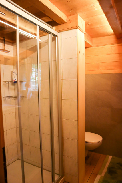 chalet-les-lagettes-t-2025-20-9771631